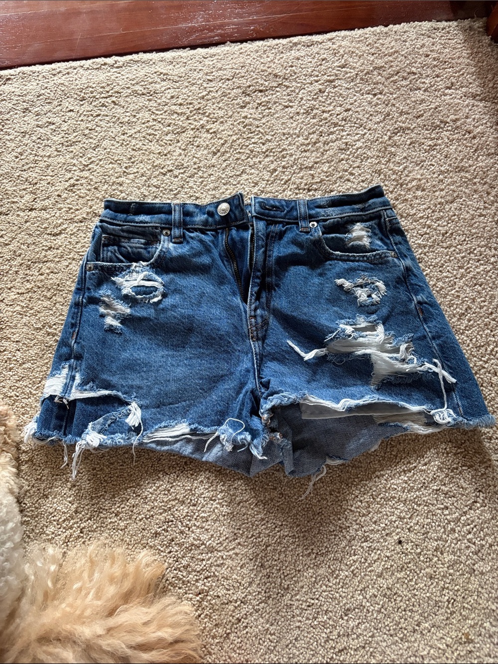 American Eagle Outfitters Distressed Dark Blue Denim Shorts